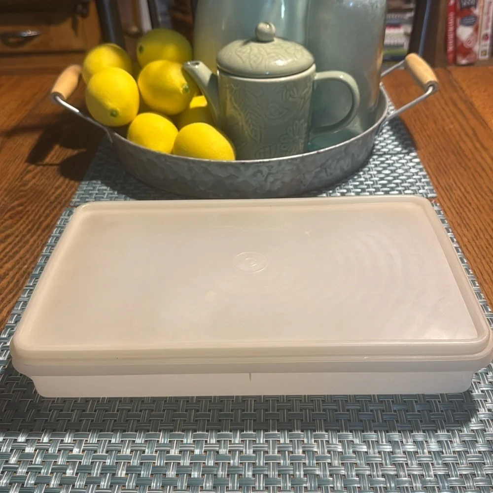 Vintage Tupperware deli, bacon 🥓 storage keeper.
